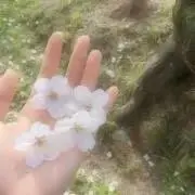 カナ