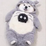 ryouの画像