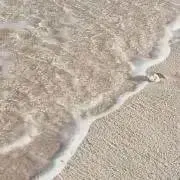 あ￤プロフ有り