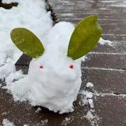 あおぞらの画像