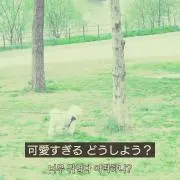 Ry@プロフご一読ください【即日発送中】の画像