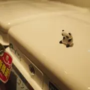 minoriの画像
