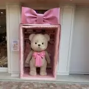 MOMOの画像
