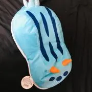 ウミウシの唯一の画像