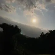 おいも