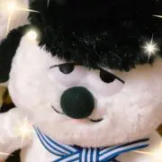 ピラフ 発送週2～3回程ですの画像