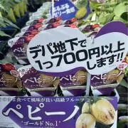 佐々木植物専門店の画像