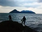 kikuneoの画像