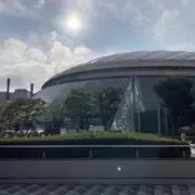 まめの画像