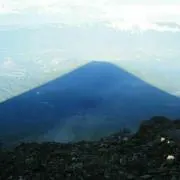 ポチ
