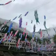 aosoraの画像