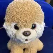 タルトの画像