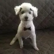 ppin..の画像