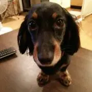 ももりん プロフお読みくださいね!