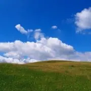 あや