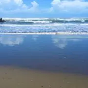 春の画像
