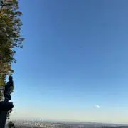 みーの画像