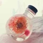あんこの画像