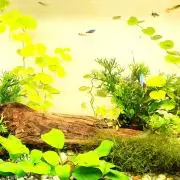 reiri✩.*˚の画像