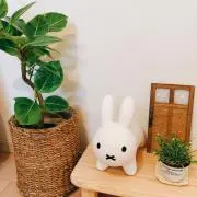 みっひゃー