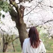 AYの画像