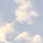 ぽてとの画像