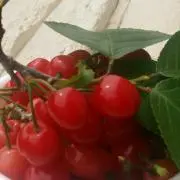 FGAホルダーJewel☆の画像