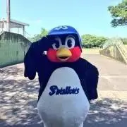 おかめつば※プロフィール必読の画像