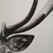 factfulnessの画像