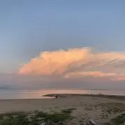 みの画像