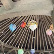 赤い花の画像