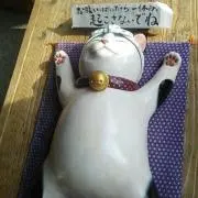 noriの画像
