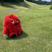 たかとおの画像