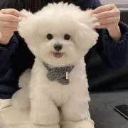 ♡の画像