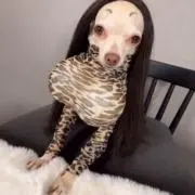 。