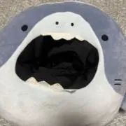 ちみーの画像