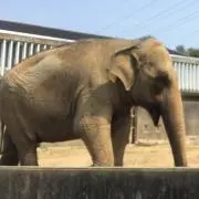 abuuu★の画像