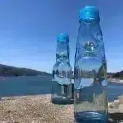 ポノの画像