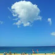 ☆りんご☆の画像