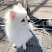 ニック