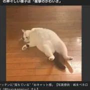 Happyの画像