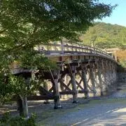 YKの画像