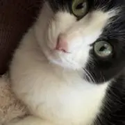 rの画像