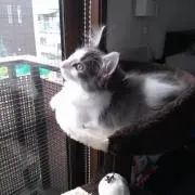 みくの画像