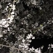 ^^