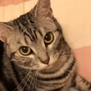 めいちゃん