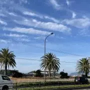 いちごの画像