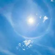 saranの画像