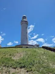 まさの画像