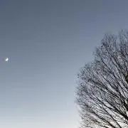 ひの画像